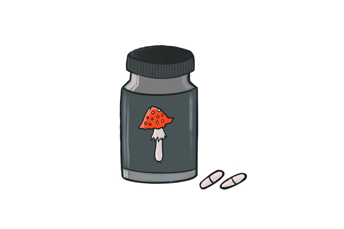 A Newly Simplistic Shrooms Decision: Mushroom Tablets vs. Mushroom Capsules
