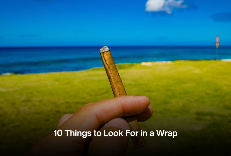 10 Things to Look For in a Wrap
