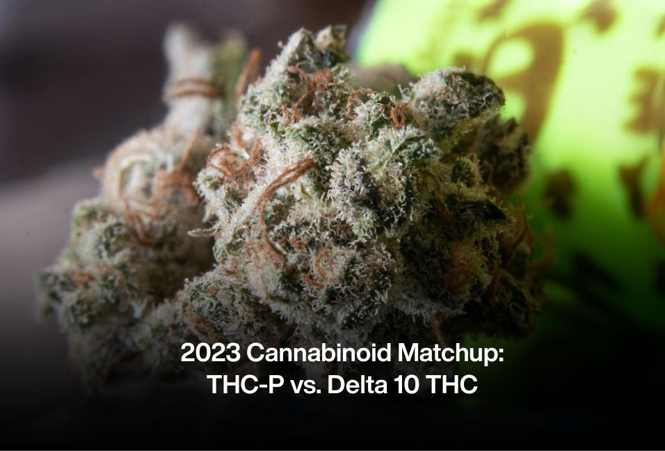 2023 Cannabinoid Matchup: THC-P vs. Delta 10 THC