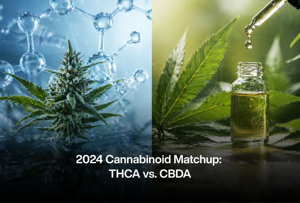 2024 Cannabinoid Matchup: THCA vs. CBDA