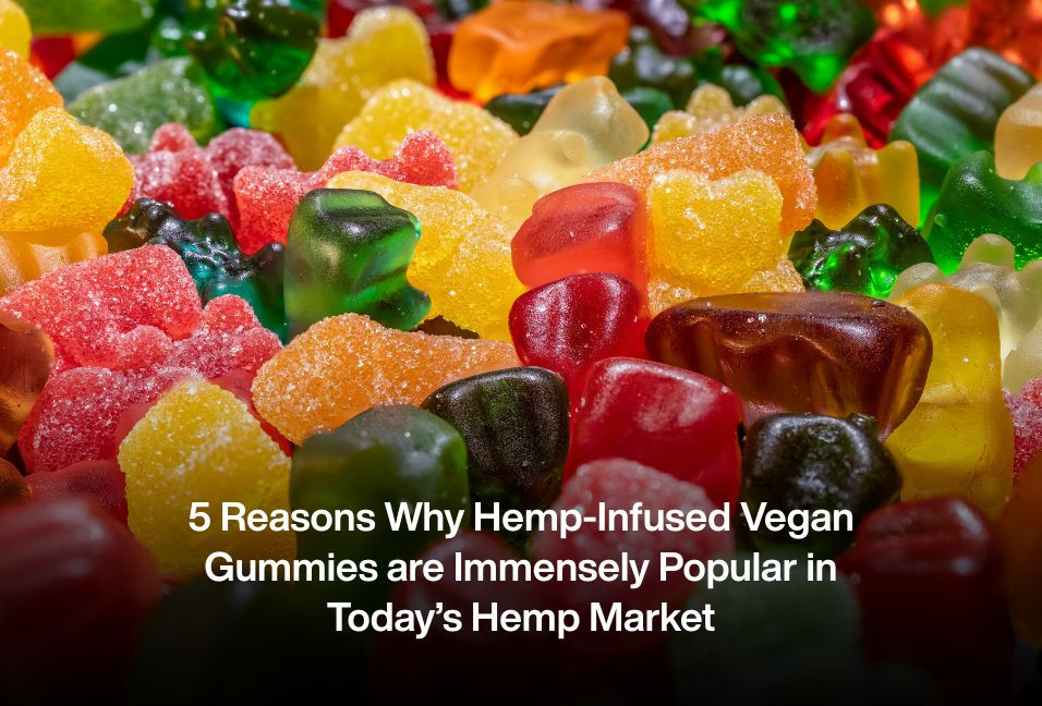 5 Reasons Why Hemp-Infused Vegan Gummies are Immensely Popular in Today’s Hemp Market