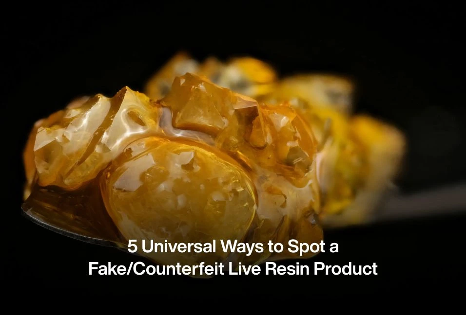 ​5 Universal Ways to Spot a Fake/Counterfeit Live Resin Product