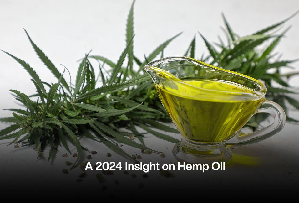 A 2024 Insight on Hemp Oil