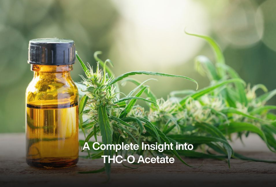 A Complete Insight into THC-O Acetate