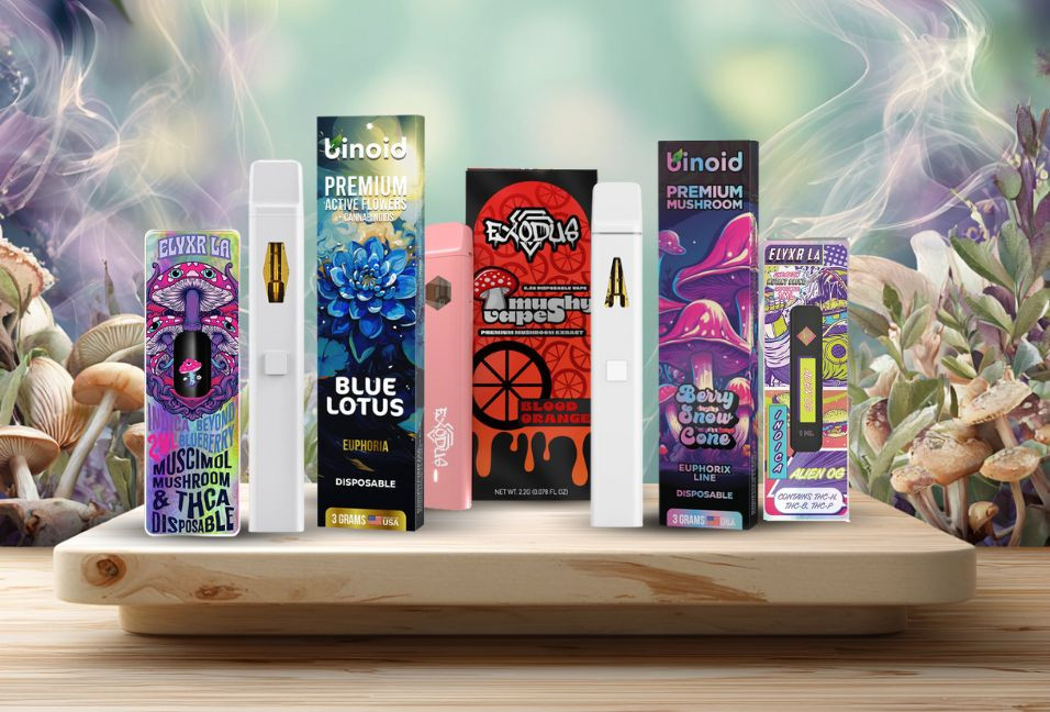 Botanicals, Cannabinoids, and Beyond: Why Mushroom Vapes and THC Disposables Are 2025’s Hottest Trend