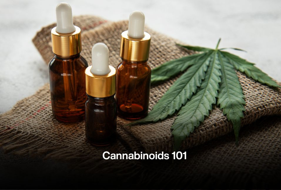 Cannabinoids 101