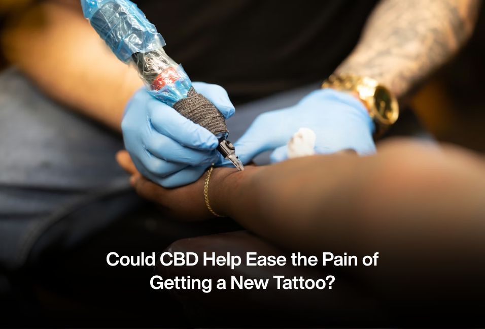 Could CBD Help Ease the Pain of Getting a New Tattoo?