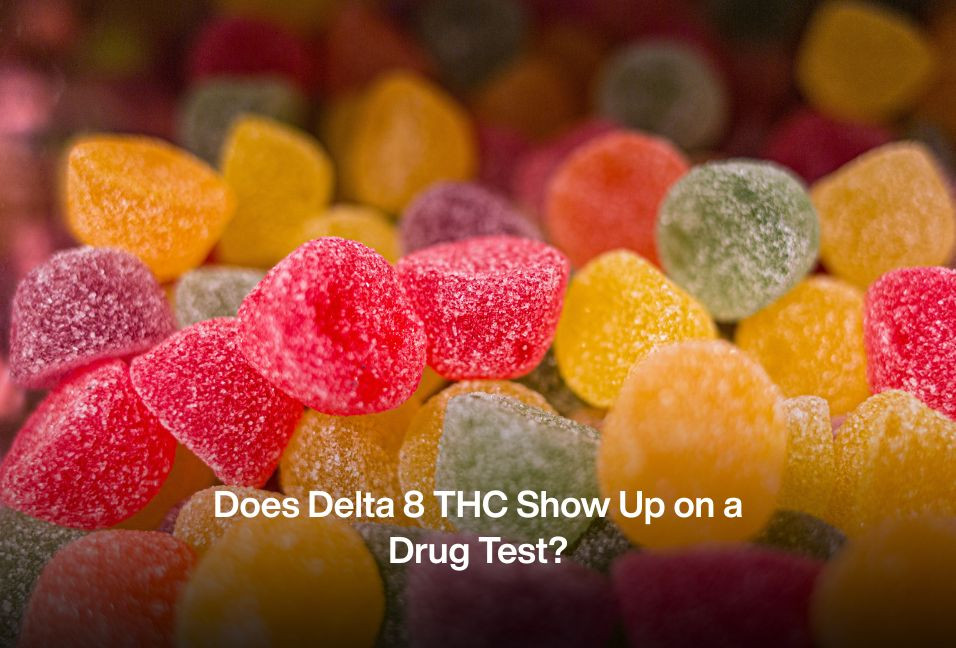 Does Delta 8 THC Show Up on a Drug Test?