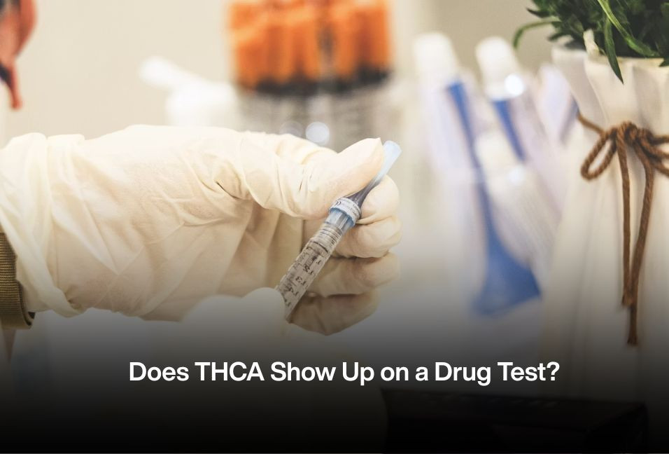 Does THCA Show Up on a Drug Test?