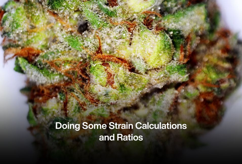 Doing Some Strain Calculations and Ratios