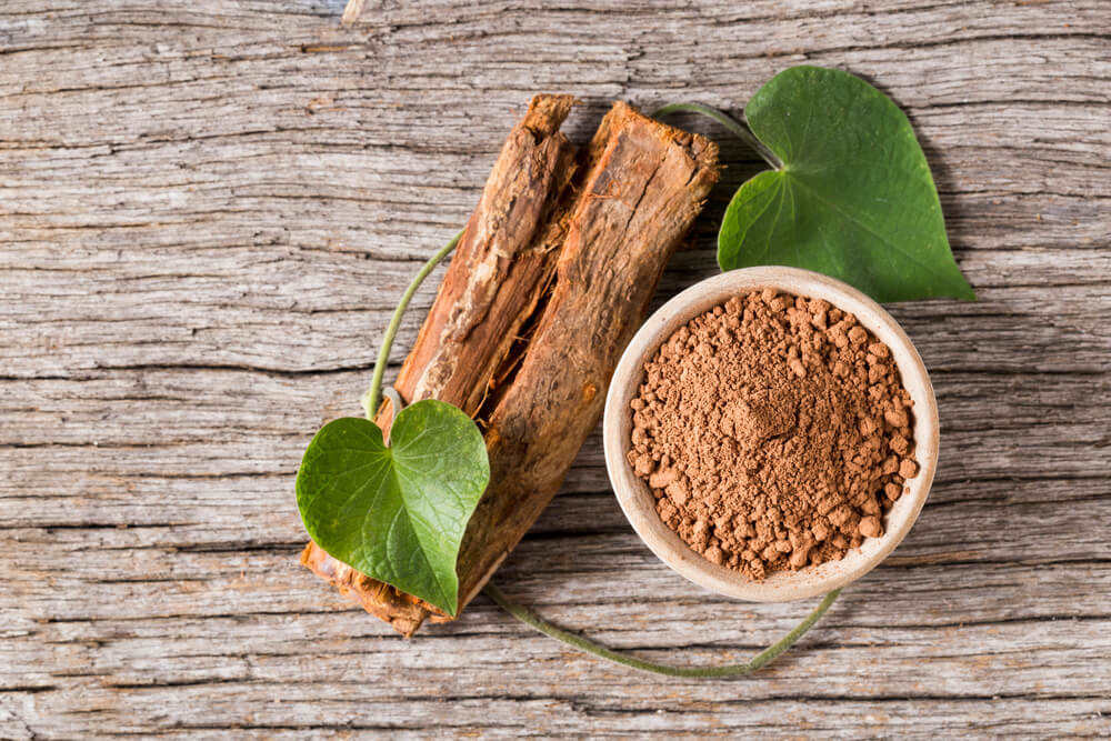 Everything You Need to Know About the “Medicinal Vine” Known as Cat's Claw