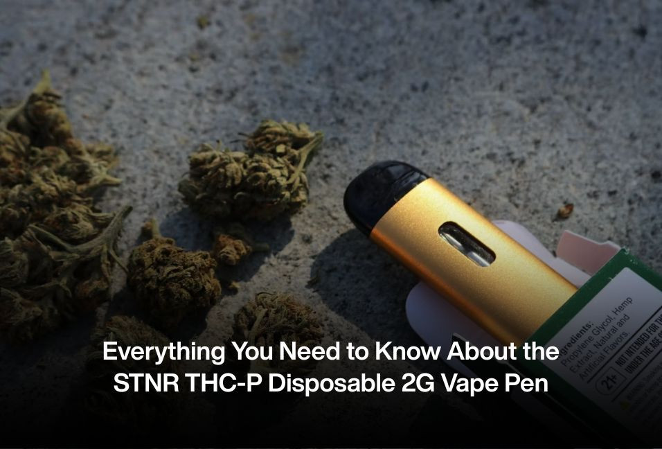 Everything You Need to Know About the STNR THC-P Disposable 2G Vape Pen