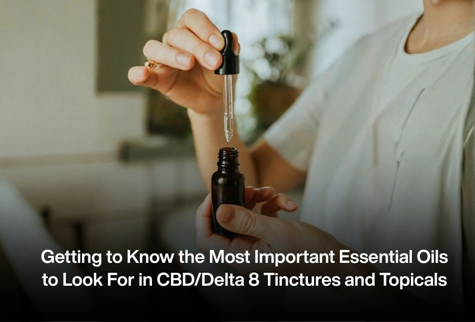 Getting to Know the Most Important Essential Oils to Look For in CBD/Delta 8 Tinctures and Topicals