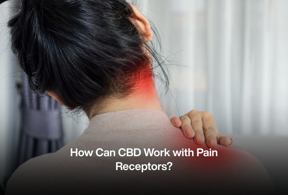 How Can CBD Work with Pain Receptors?