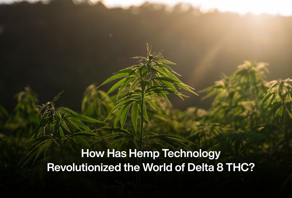 How Has Hemp Technology Revolutionized the World of Delta 8 THC?
