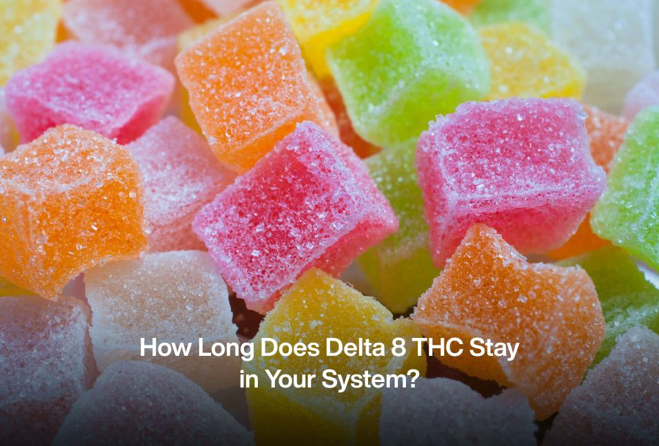 How Long Does Delta 8 THC Stay in Your System?