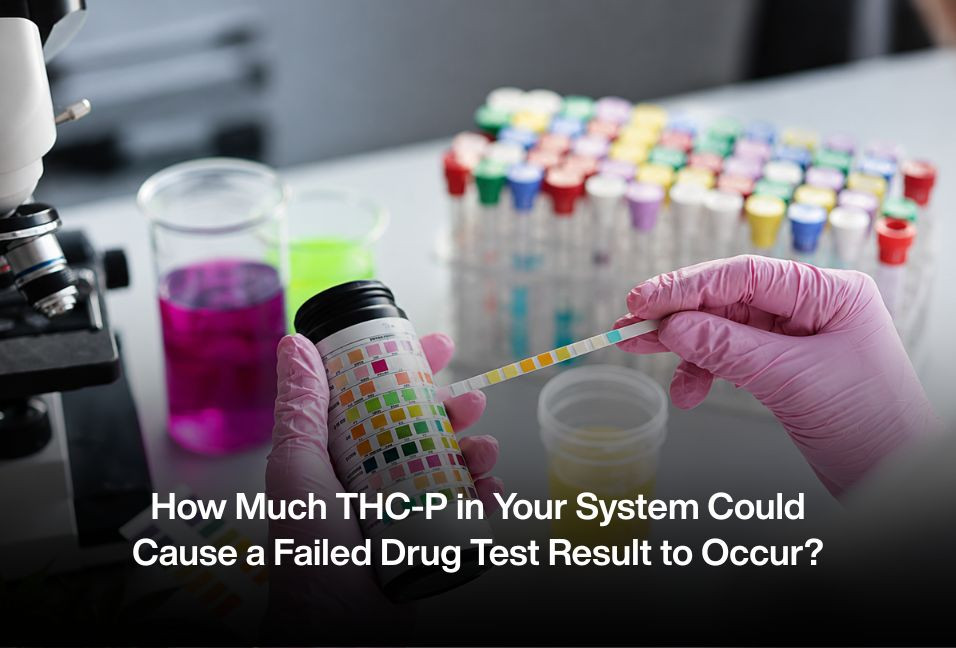 How Much THC-P in Your System Could Cause a Failed Drug Test Result to Occur?