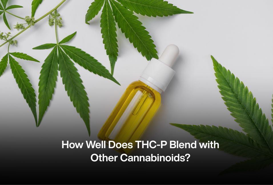 How Well Does THC-P Blend with Other Cannabinoids?