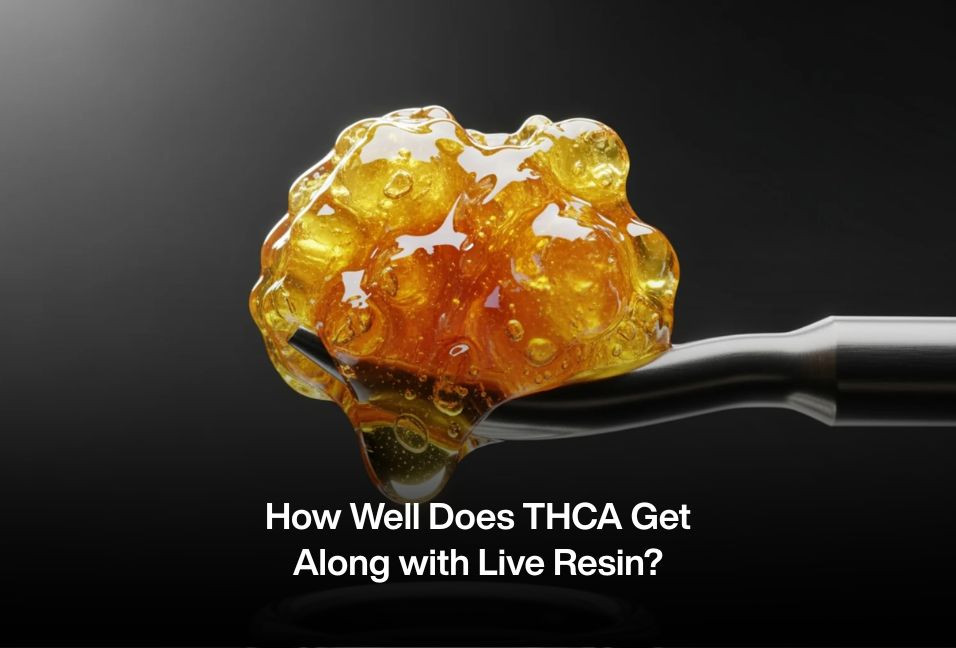 How Well Does THCA Get Along with Live Resin?