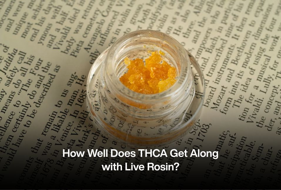 How Well Does THCA Get Along with Live Rosin?