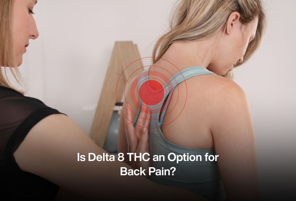 Is Delta 8 THC an Option for Back Pain?
