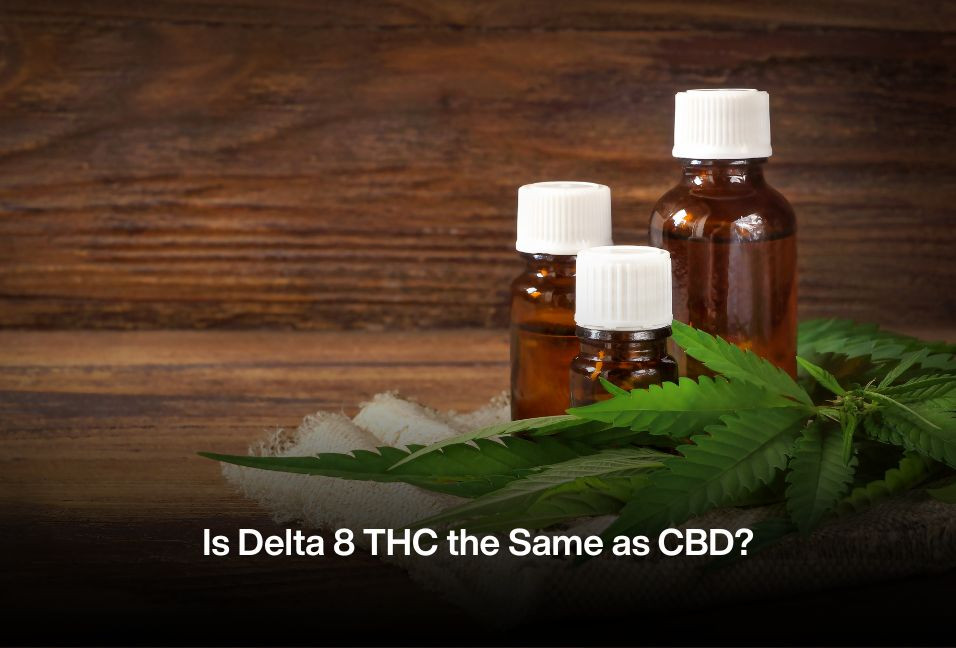 Is Delta 8 THC the Same as CBD?