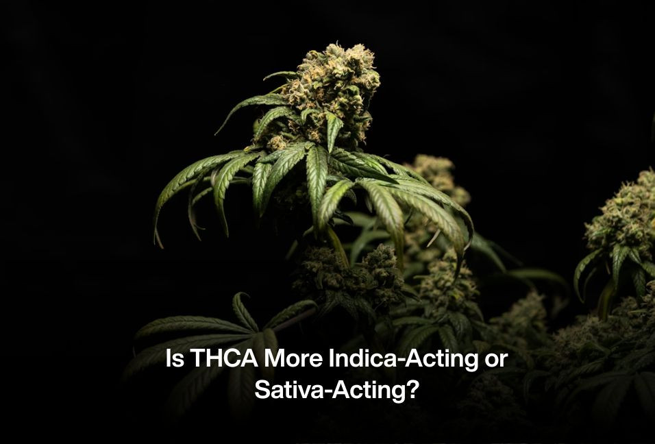 Is THCA More Indica-Acting or Sativa-Acting?