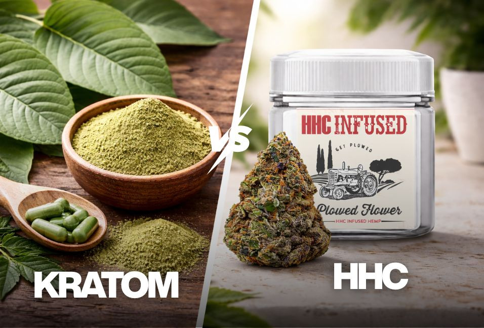 Kratom vs. HHC: How Do They Measure Up Against One Another?