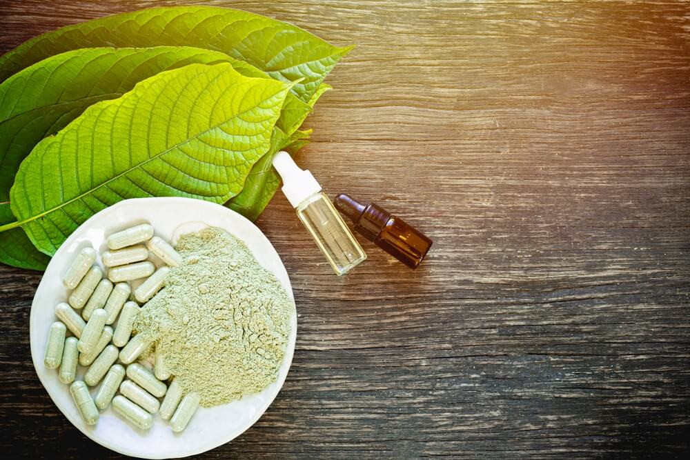 Making a Mitragyna Speciosa Choice: Kratom Extract vs. Powder