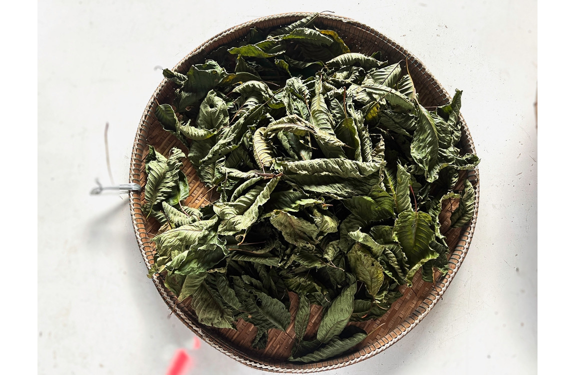 A "Smoking" Kratom Question: Can You Smoke Kratom?