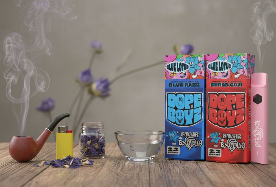 Smoking vs. Vaping Blue Lotus Flower: A Balanced Exploration