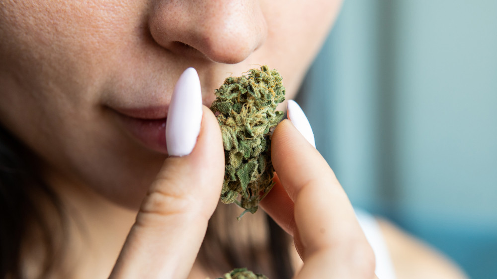 Taking a Whiff: Does THCA Smell Like Weed?
