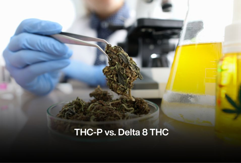 2023 Cannabinoid Matchup: THC-P vs. Delta 8 THC