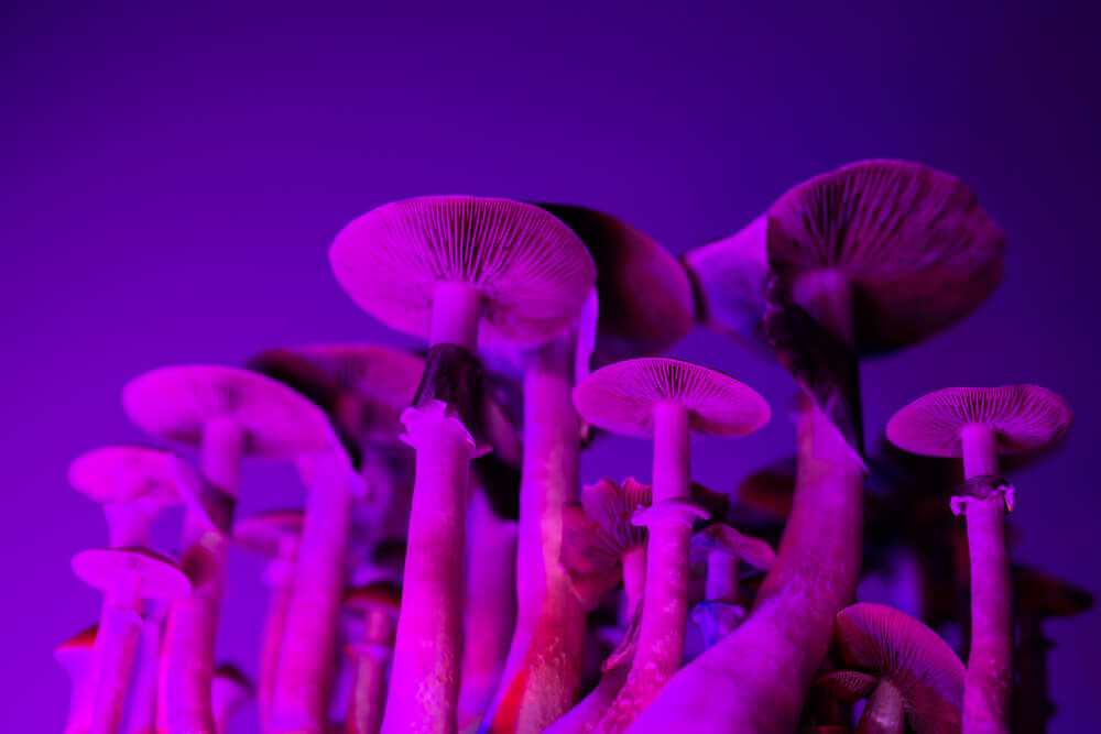 The Next Psychoactive Combination: Liquid Diamonds & Mushroom Blends