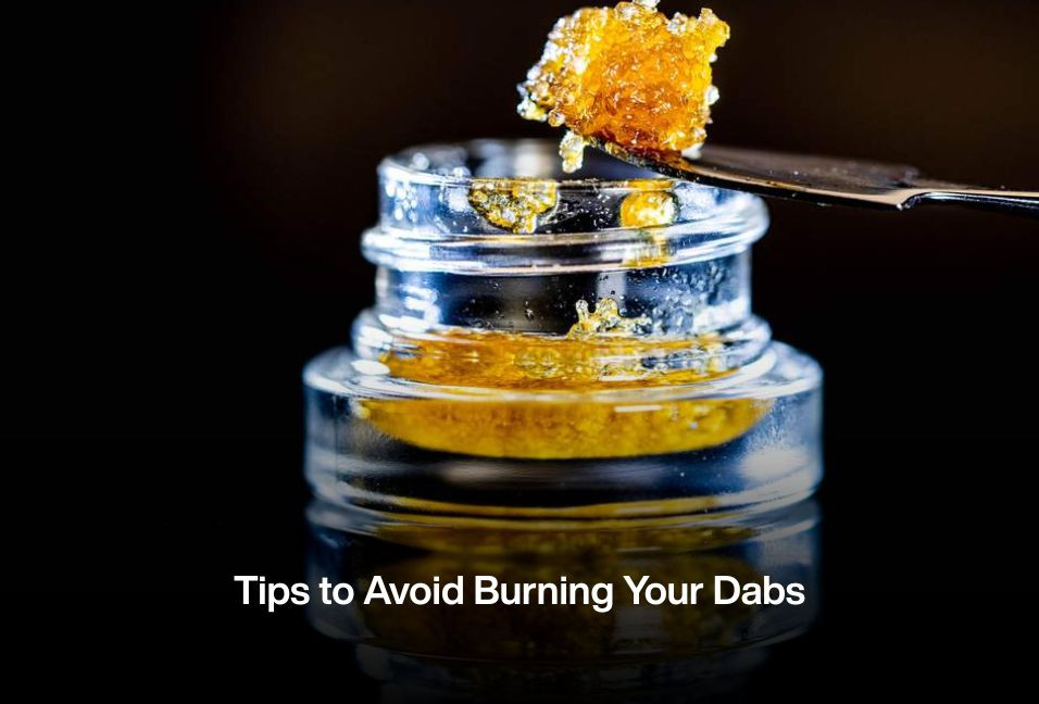 Tips to Avoid Burning Your Dabs