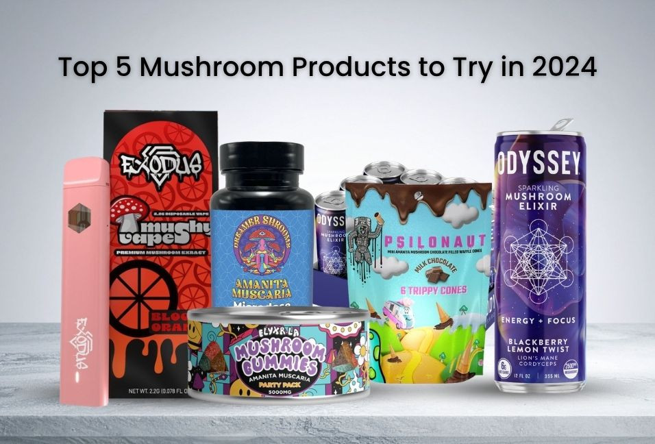 Top 5 Mushroom Products to Try in 2024