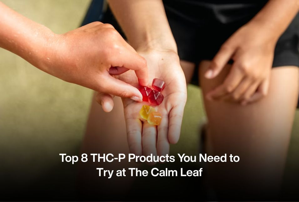 Top 8 THC-P Products You Need to Try at The Calm Leaf