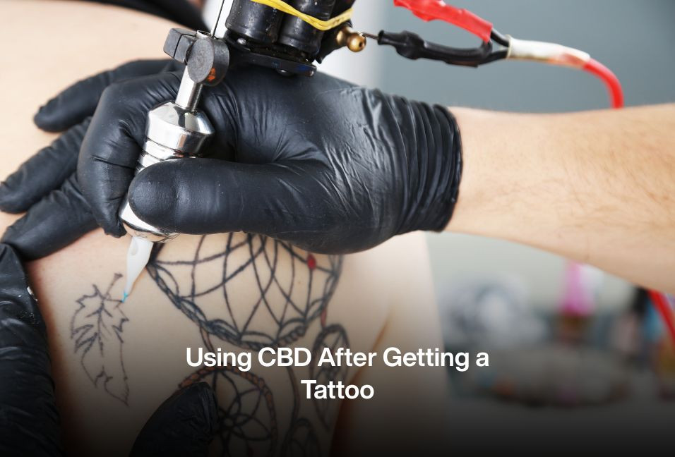 Using CBD After Getting a Tattoo