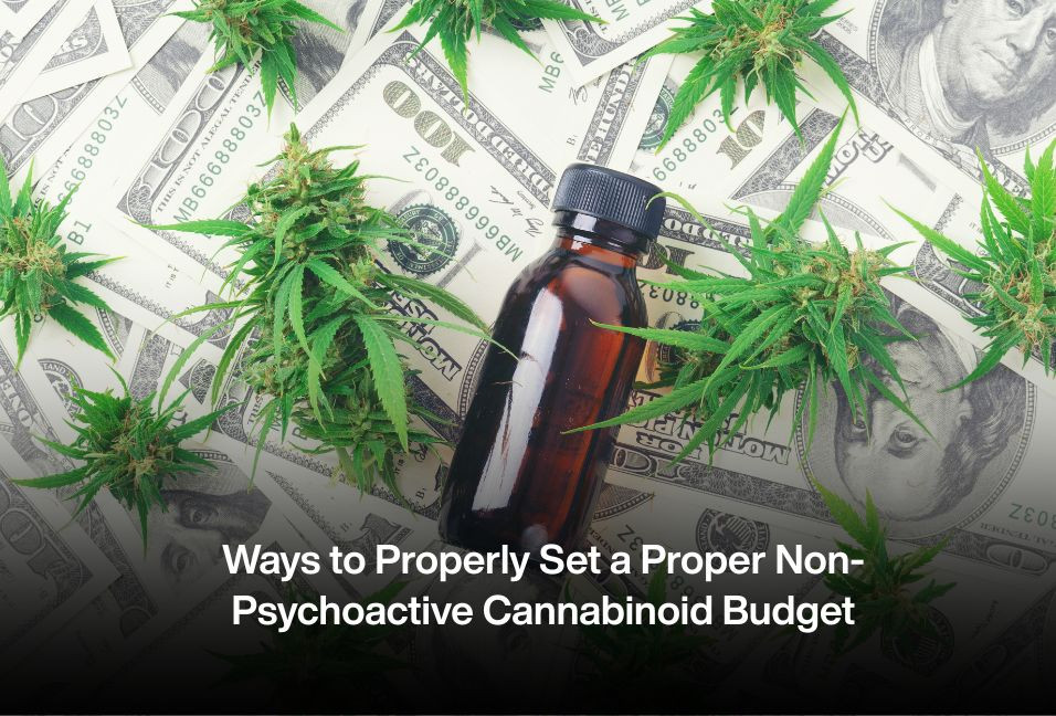 Ways to Properly Set a Proper Non-Psychoactive Cannabinoid Budget