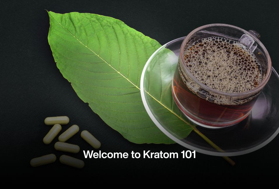 Welcome to Kratom 101