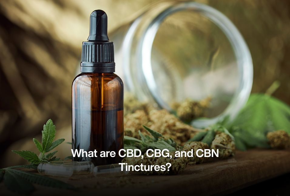 What are CBD, CBG, and CBN Tinctures?