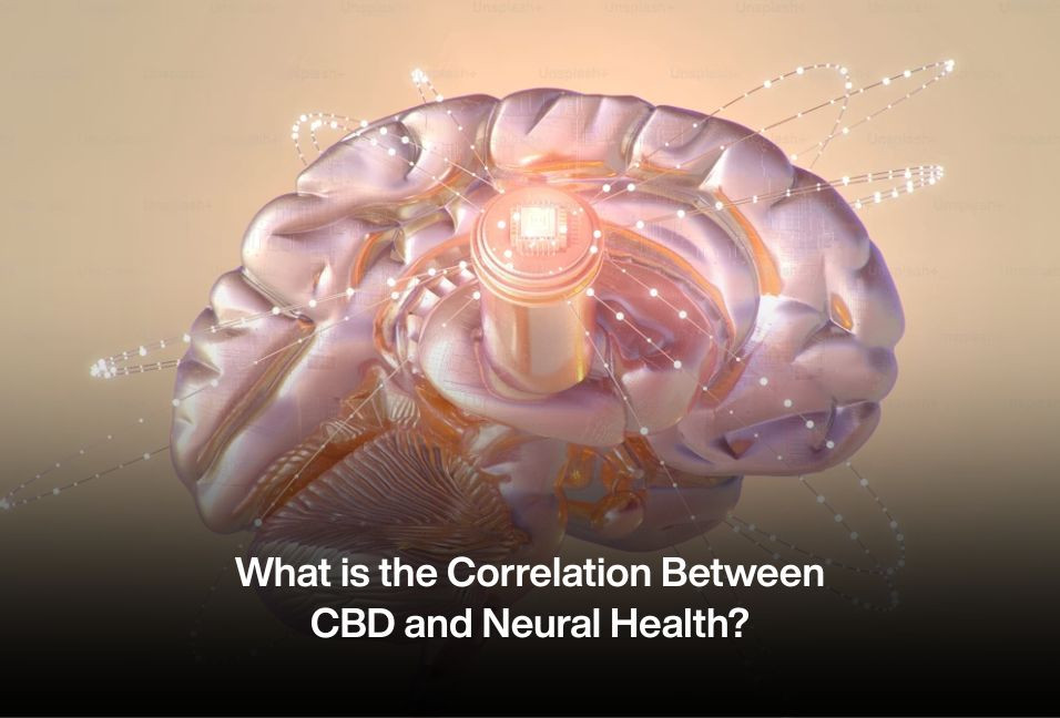 What is the Correlation Between CBD and Neural Health?