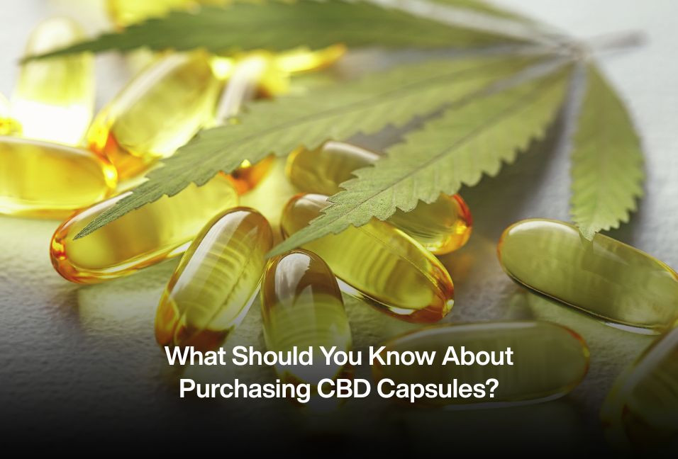 What Should You Know About Purchasing CBD Capsules?