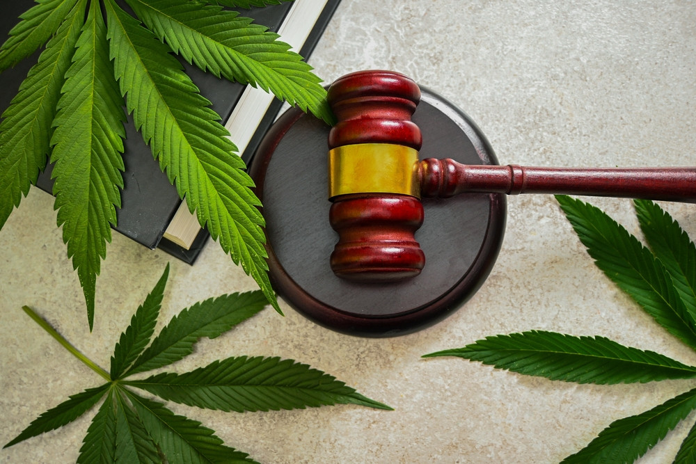 What You Need to Know About the Possible THC Ban and Law Changes