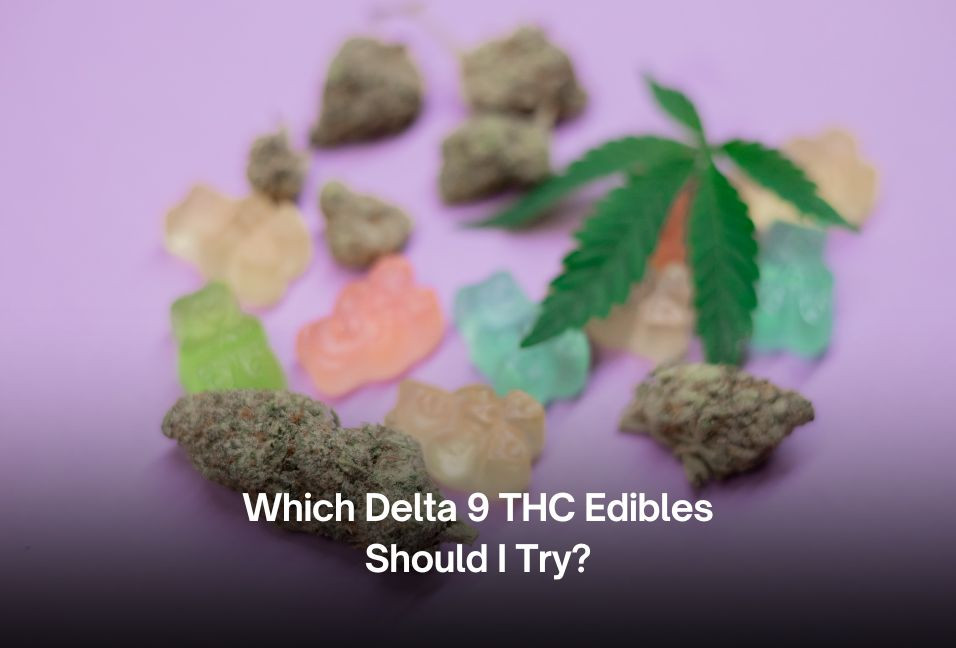 Which Delta 9 THC Edibles Should I Try?