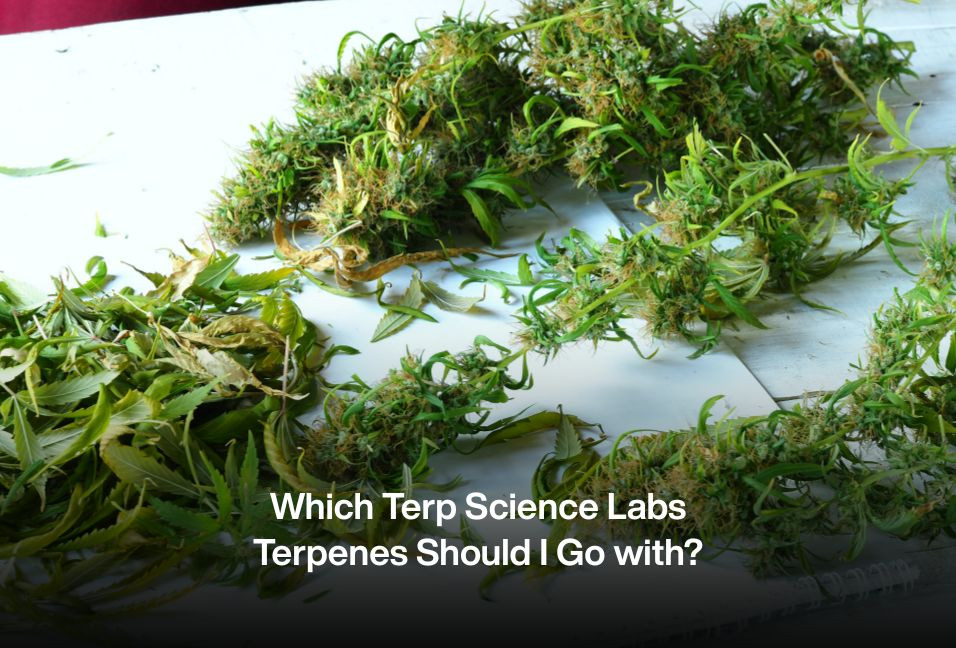 Which Terp Science Labs Terpenes Should I Go with?