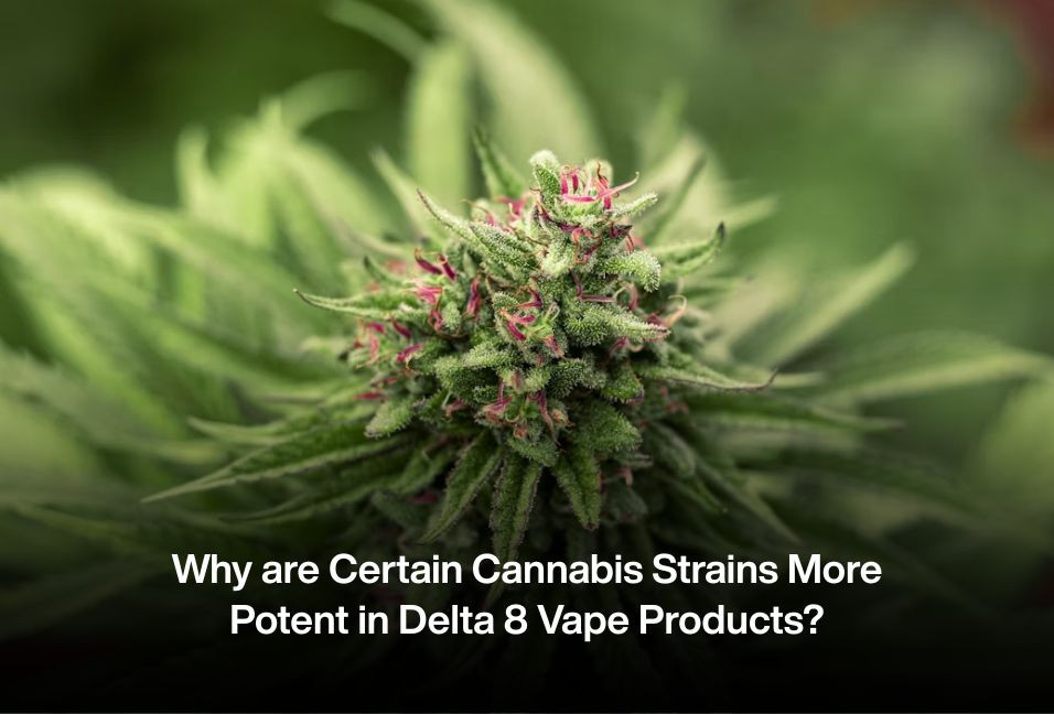 Why are Certain Cannabis Strains More Potent in Delta 8 Vape Products?