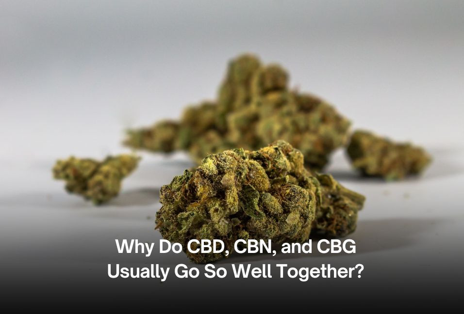 Why Do CBD, CBN, and CBG Usually Go So Well Together?