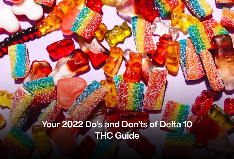 Your 2022 Do’s and Don’ts of Delta 10 THC Guide