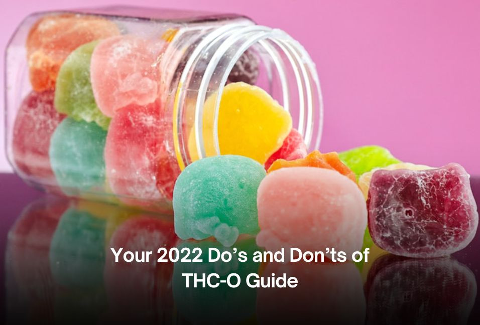Your 2022 Do’s and Don’ts of THC-O Guide